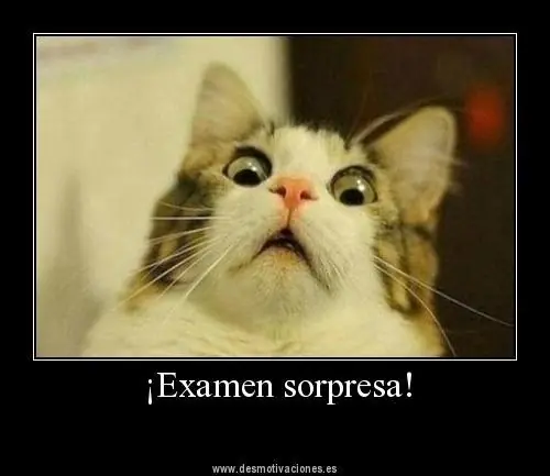 imagenes