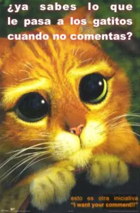 taringa