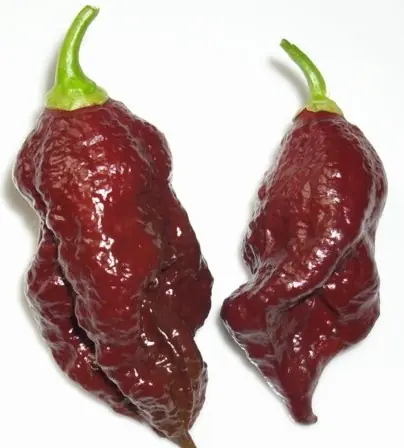 pimientos