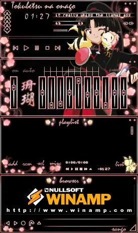 Caratulas lindas para winamp
