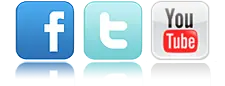 organizacin