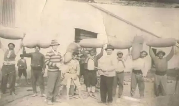colonias