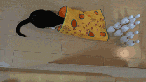 Gifs para todos...  y todas 2