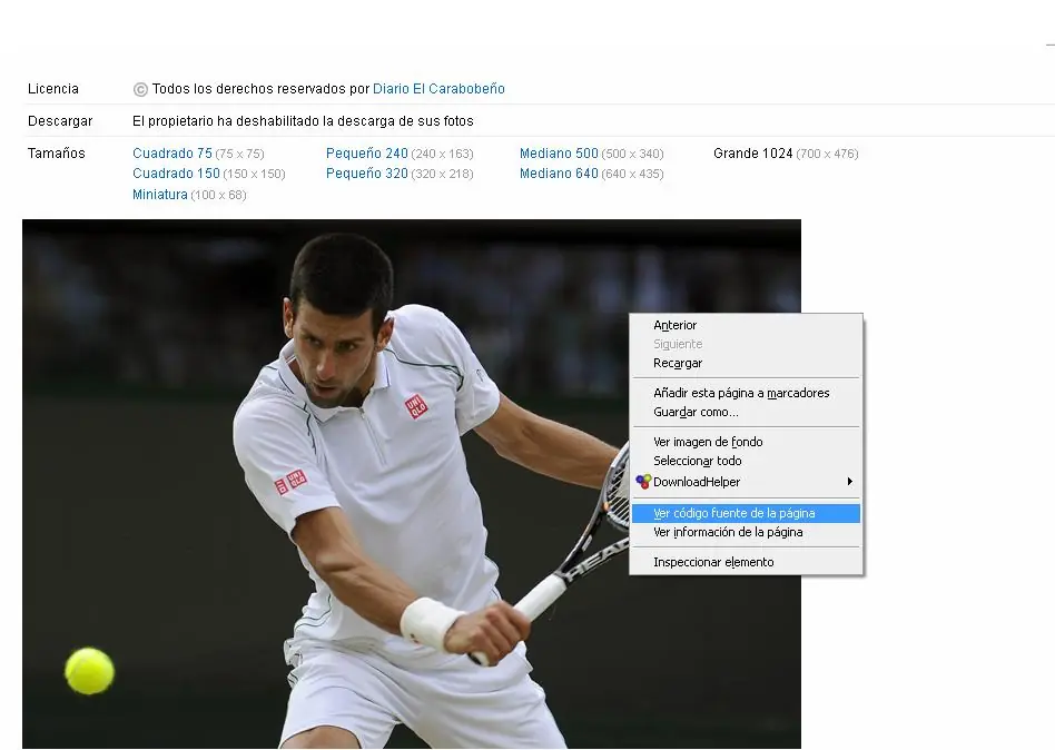 Como descargar fotos protegidas por flickr (Hecho por mi)