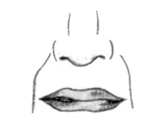 Dibujo