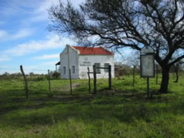 judías