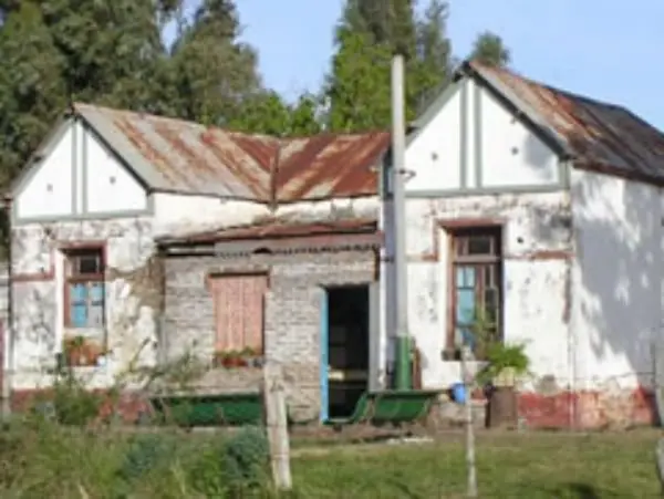 judías