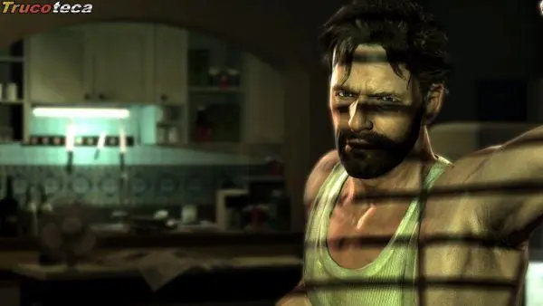 max payne 3