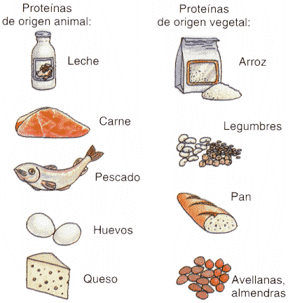 alimentos