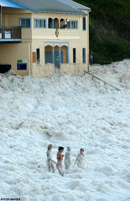 espuma
