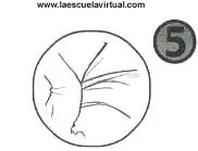 Aprende a dibujar Hentai sin salir del post[Megapost]