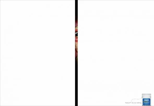 minimalista