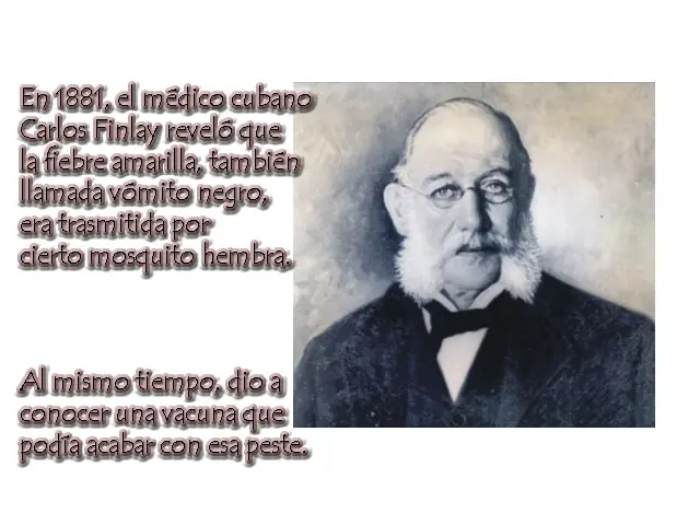 Los Hijos de los Días.