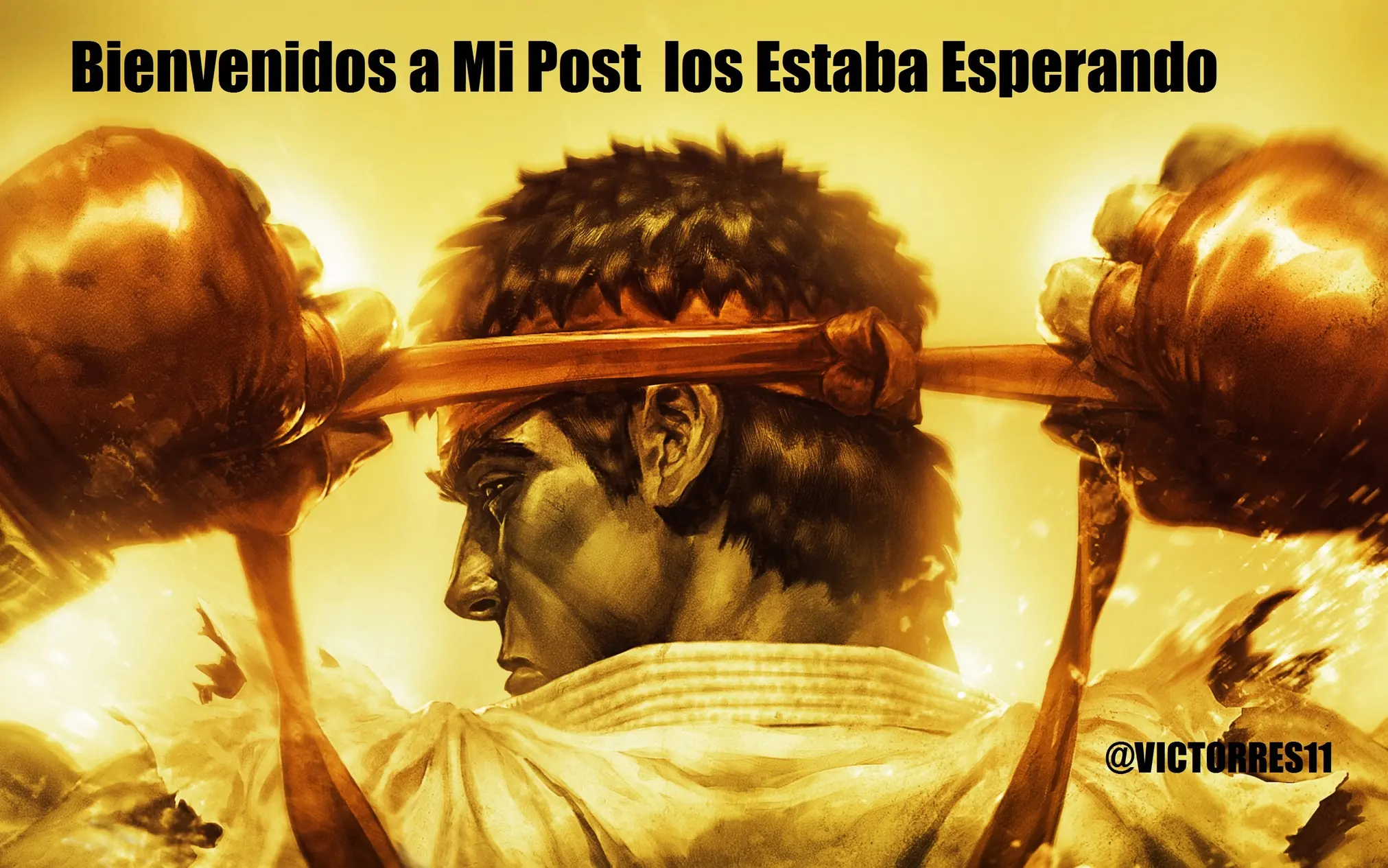 Torneo Anual de Gamers Evo 2013