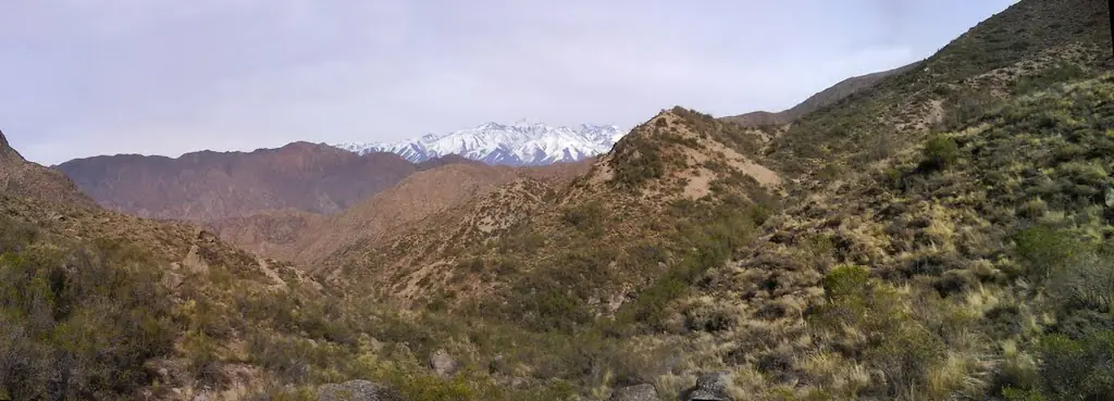 mendoza