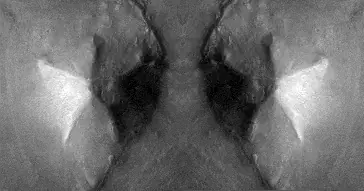 Cydonia: La Ciudad de Marte
