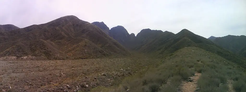 mendoza