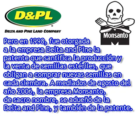 galeano