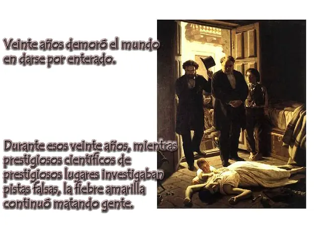 lectura