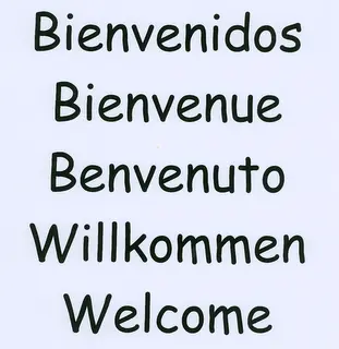 ¿Las Hormigas Duermen?