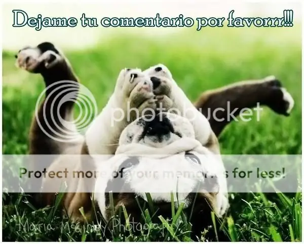 Ingenio