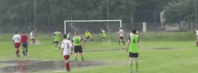 Gifs
