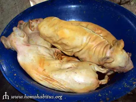 comida