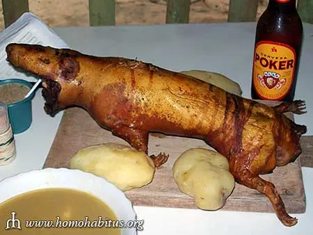 alimento