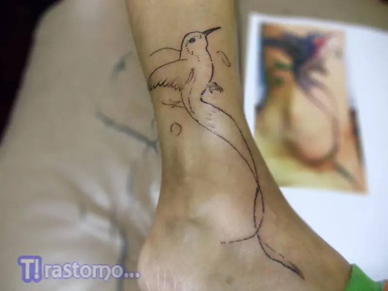De hobby hago tatuajes... En esta ocasion un Colibrí.
