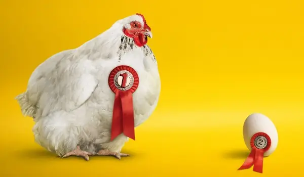 ¿Que fue Primero? El huevo o la gallina...
