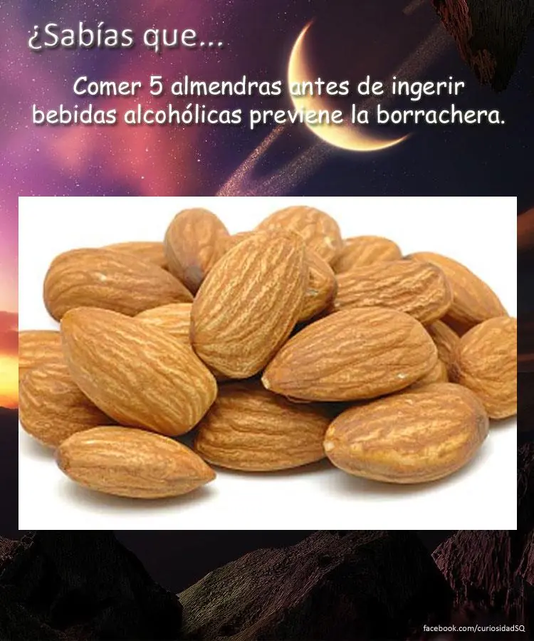 10 cosas que no sabias(datos curiosos) parte 13
