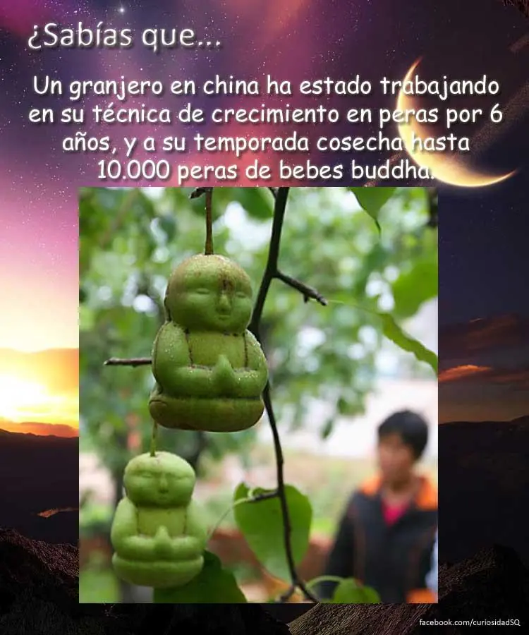 10 datos