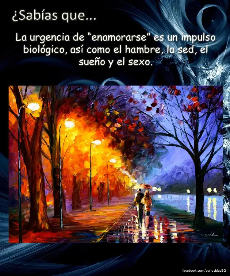 humanos