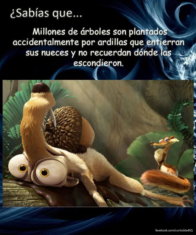 10 datos