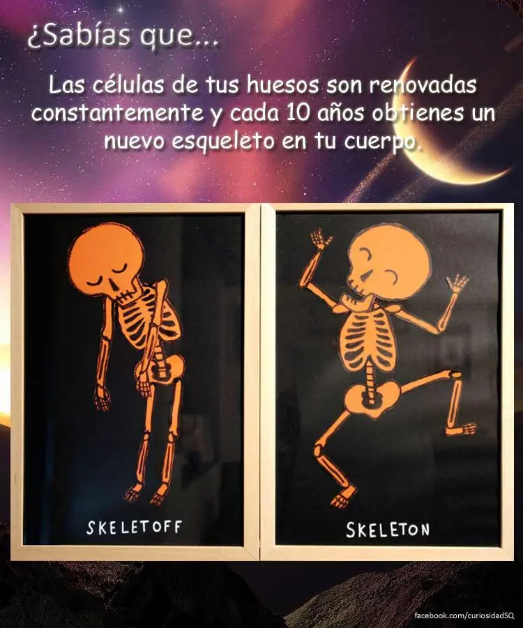 ¿Sabías que? [Parte 8]
