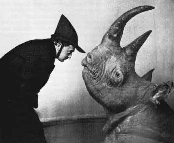 Salvador dalí, desde otro punto de vista