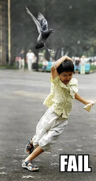 [HiperPost] Imagenes Fail