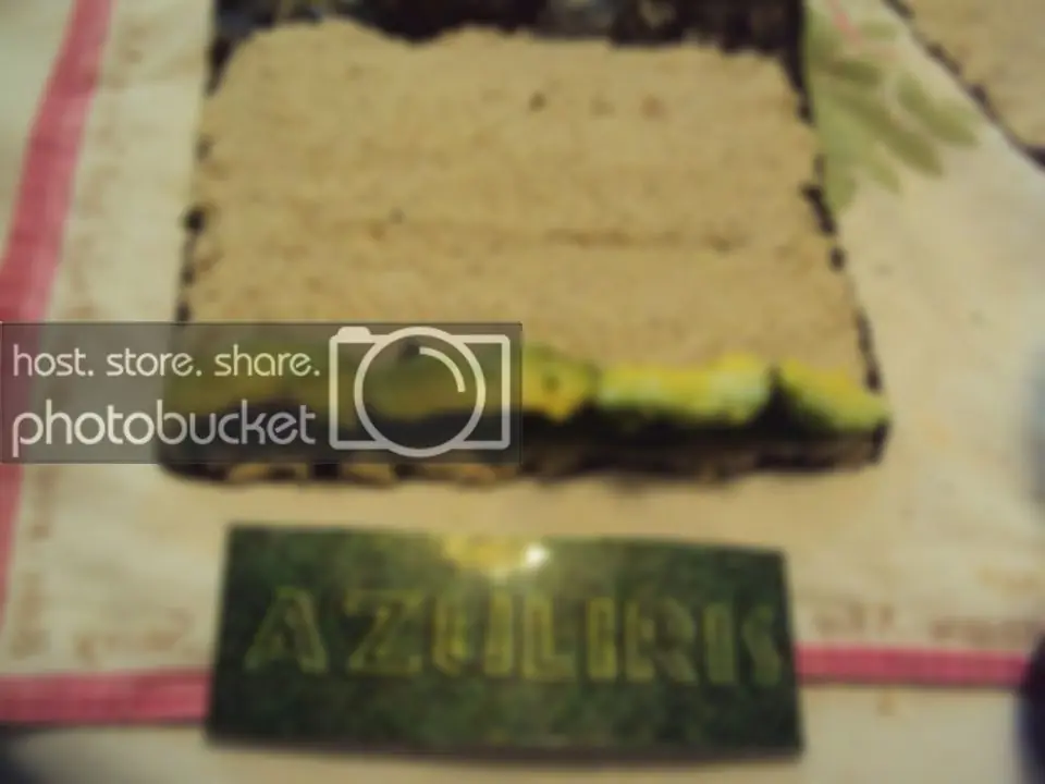 alga nori