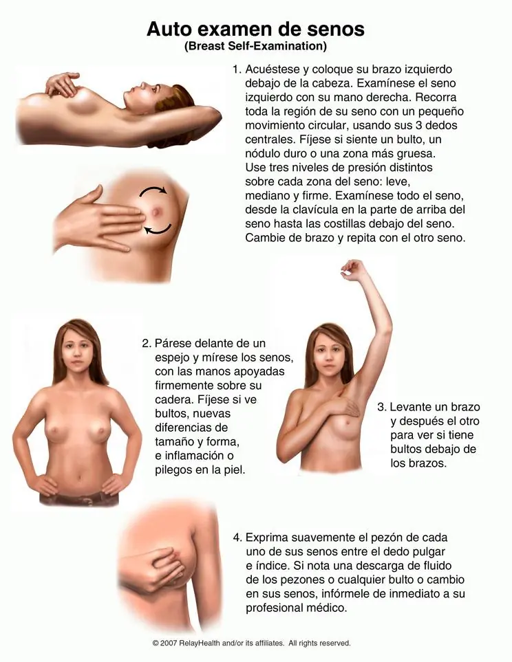 autoexamen