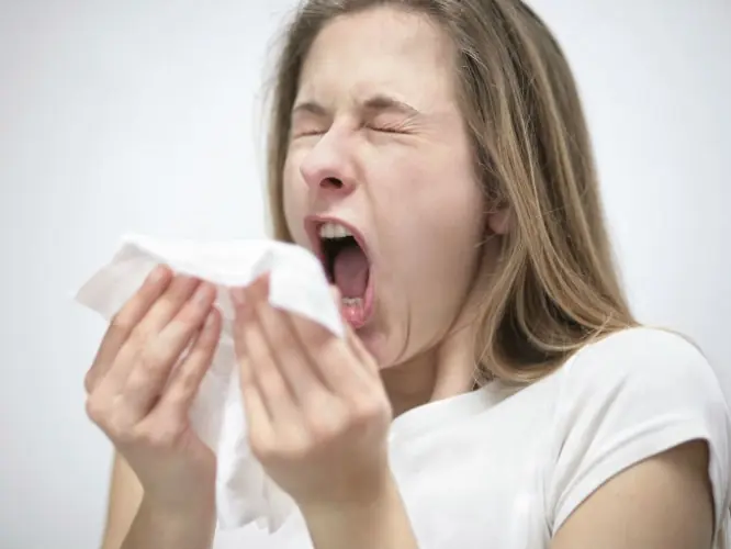 estornudo