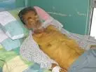 pancreas