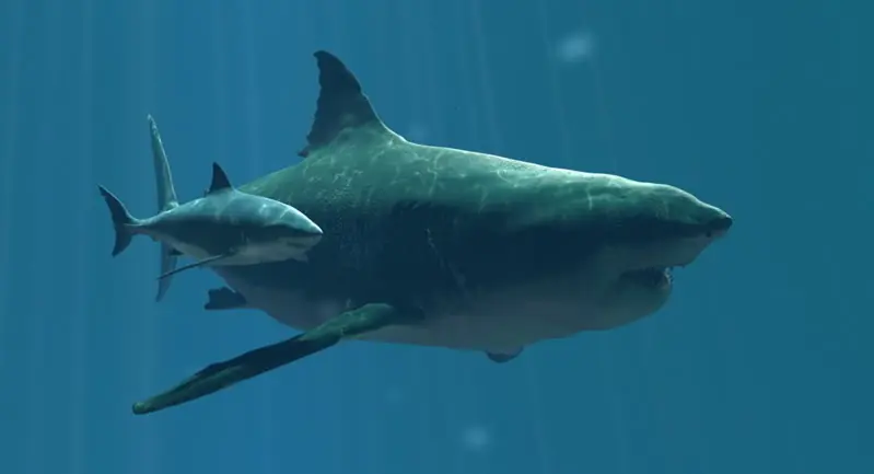 Megalodon:Tiburon o Monstruo