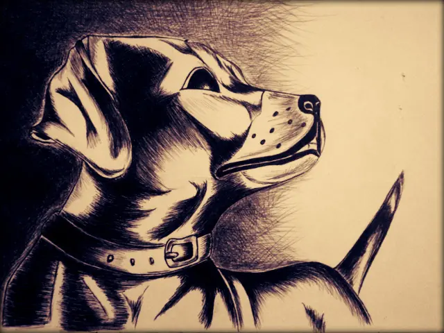 dibujos