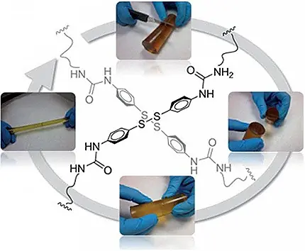 Crean el polímero 'Terminator' que se
