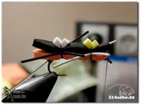 fly