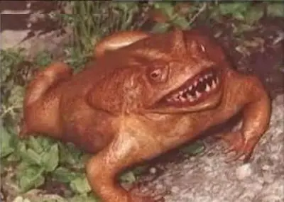 fobias