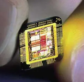 microchips