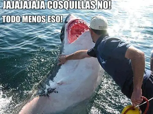 Con este post vas a tildar tu PC, parte 2