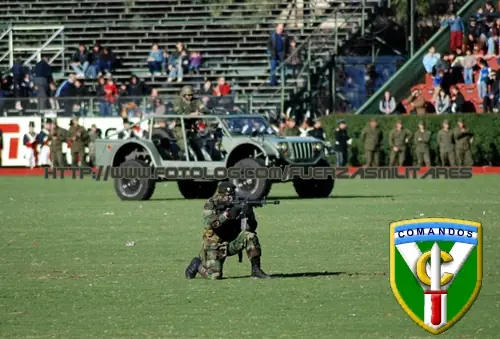 Comandos Argentinos -MegaPost- Imagenes y Videos
