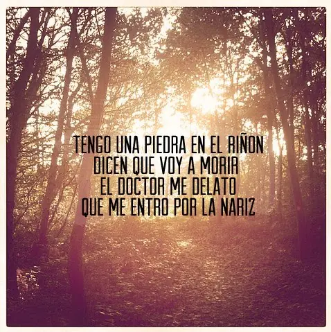 taringa
